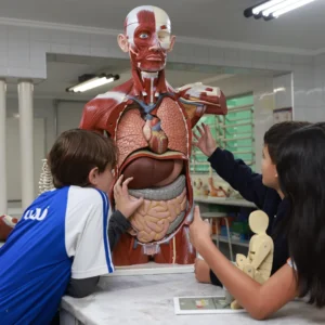 Ensino Fundamental II - Anos Finais - Colégio Castro Alves