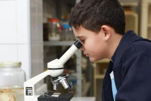 Ensino Fundamental II - Anos Finais - Colégio Castro Alves